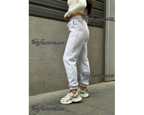 Джогеры 909 (S,M,L,Xl) (Флис 3 нить)